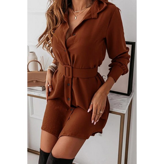 Casual Elegant Solid Buckle With Belt Turndown Collar Shirt Dress Dresses