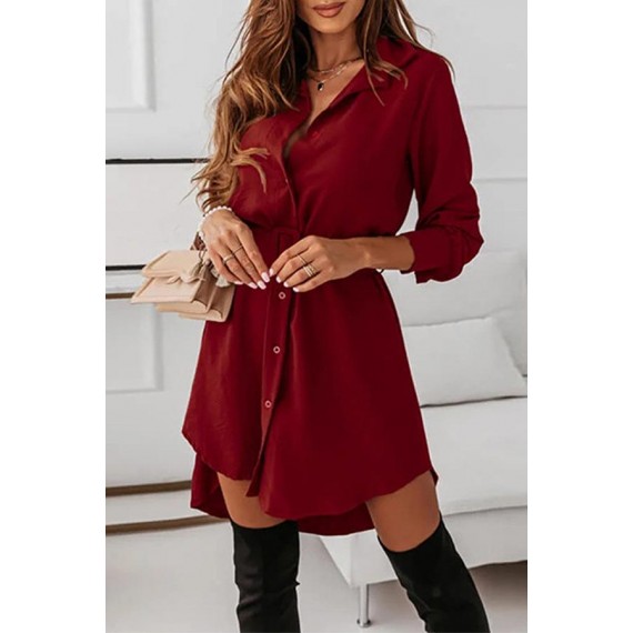 Casual Elegant Solid Buckle With Belt Turndown Collar Shirt Dress Dresses