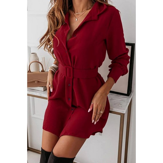 Casual Elegant Solid Buckle With Belt Turndown Collar Shirt Dress Dresses